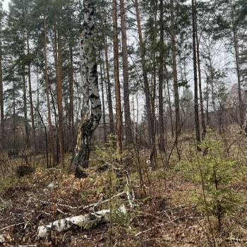 Продается Участок, 800 м²