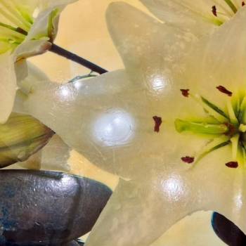 Продается Многокомнатная квартира, 120 м²