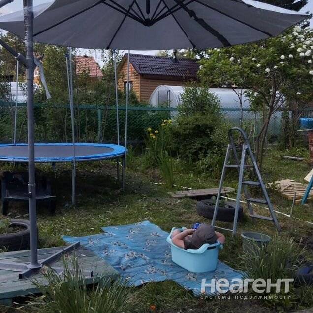 Фотография №3