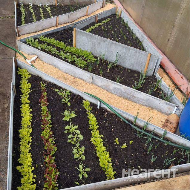 Фотография №5