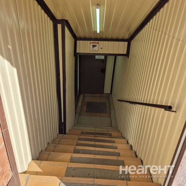 Фотография №5