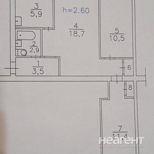 Фотография №2