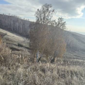 Продается Участок, 1000 м²