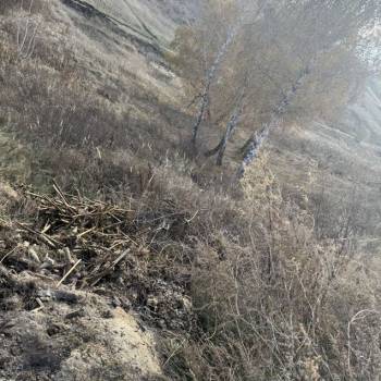 Продается Участок, 1000 м²