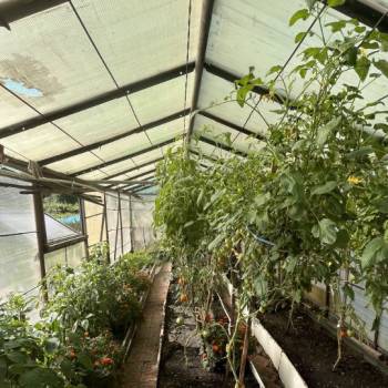 Продается Дом, 70 м²