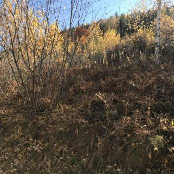 Продается Участок, 700 м²