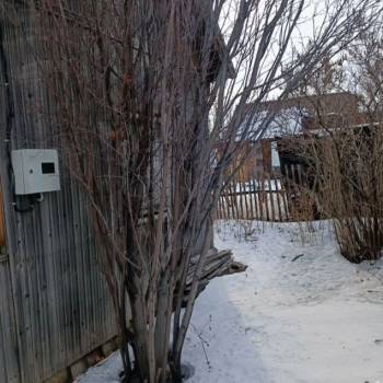 Продается Участок, 600 м²