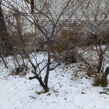 Продается Участок, 600 м²