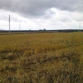 Продается Участок, 1000 м²