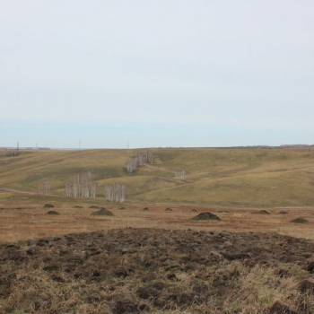 Продается Участок, 1000 м²