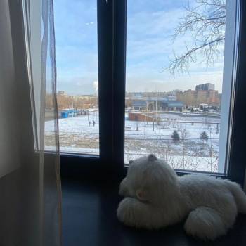 Продается 1-комнатная квартира, 21,2 м²