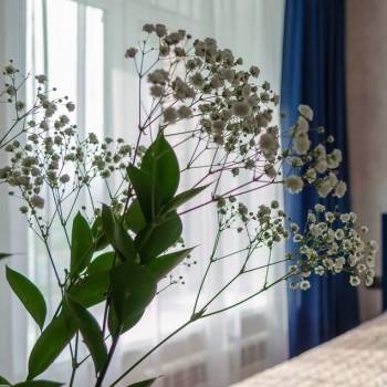 Продается 2-х комнатная квартира, 34 м²