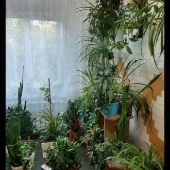 Продается 1-комнатная квартира, 12 м²