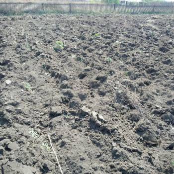 Продается Участок, 600 м²