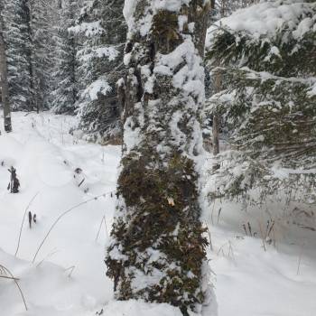 Продается Участок, 1000 м²