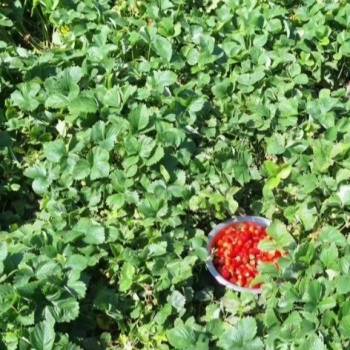 Продается Дом, 90 м²