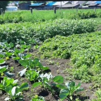 Продается Дом, 90 м²