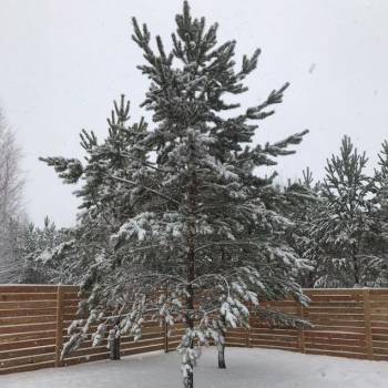 Продается Дом, 60 м²