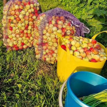 Продается Участок, 750 м²