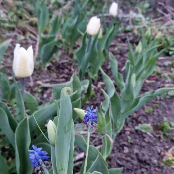 Продается Участок, 750 м²