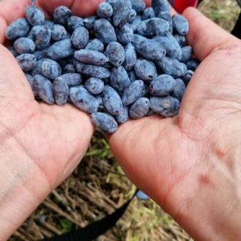 Продается Участок, 750 м²