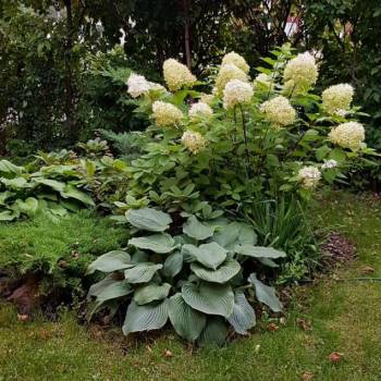 Продается Дом, 300 м²