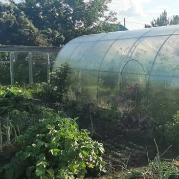 Продается Дом, 42 м²