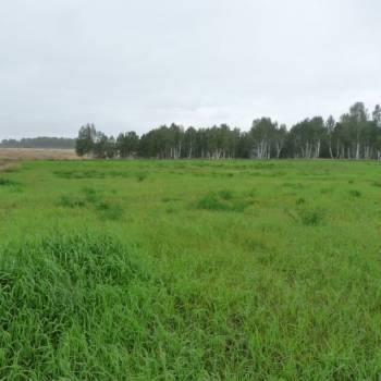 Продается Участок, 1000 м²