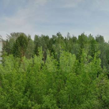 Сдается 2-х комнатная квартира, 54 м²