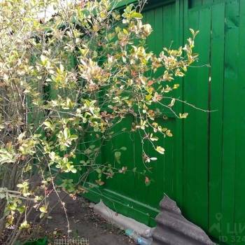 Продается Участок, 500 м²