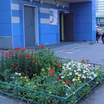 Сдается 1-комнатная квартира, 40 м²