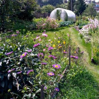 Продается Участок, 800 м²