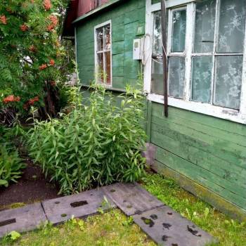 Продается Участок, 800 м²