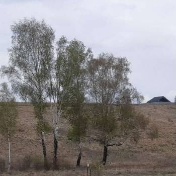 Продается Участок, 1500 м²