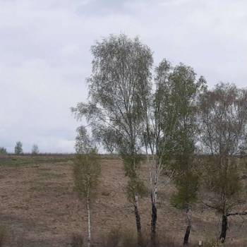 Продается Участок, 1500 м²