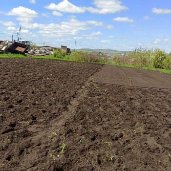 Продается Участок, 1000 м²