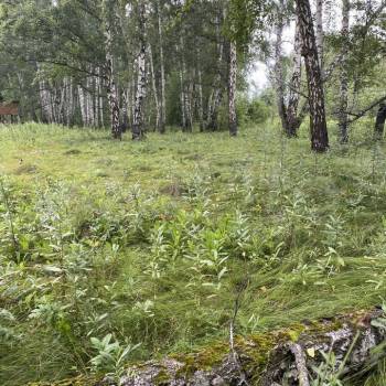 Продается Участок, 1480 м²