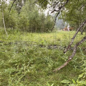 Продается Участок, 1480 м²