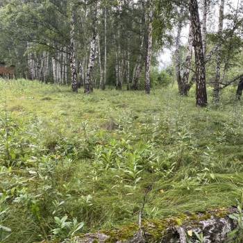 Продается Участок, 1480 м²