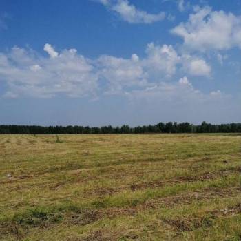 Продается Участок, 120000 м²