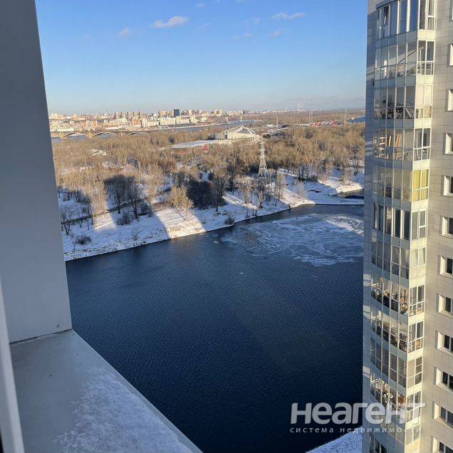 Фотография №2