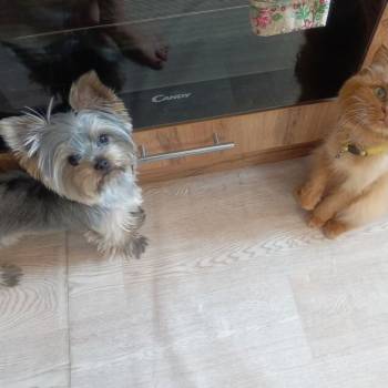 Продается 3-х комнатная квартира, 56,1 м²