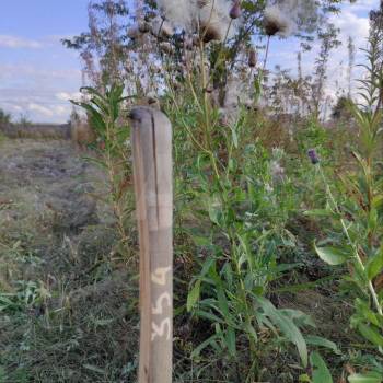 Продается Участок, 900 м²