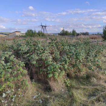 Продается Участок, 900 м²