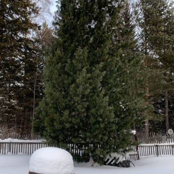 Продается Дом, 45 м²