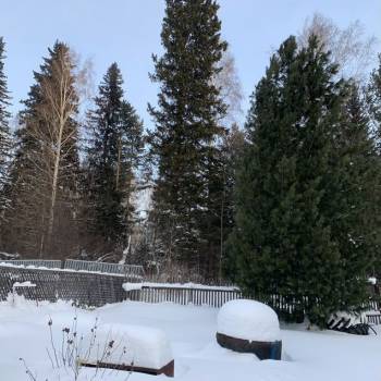 Продается Дом, 45 м²