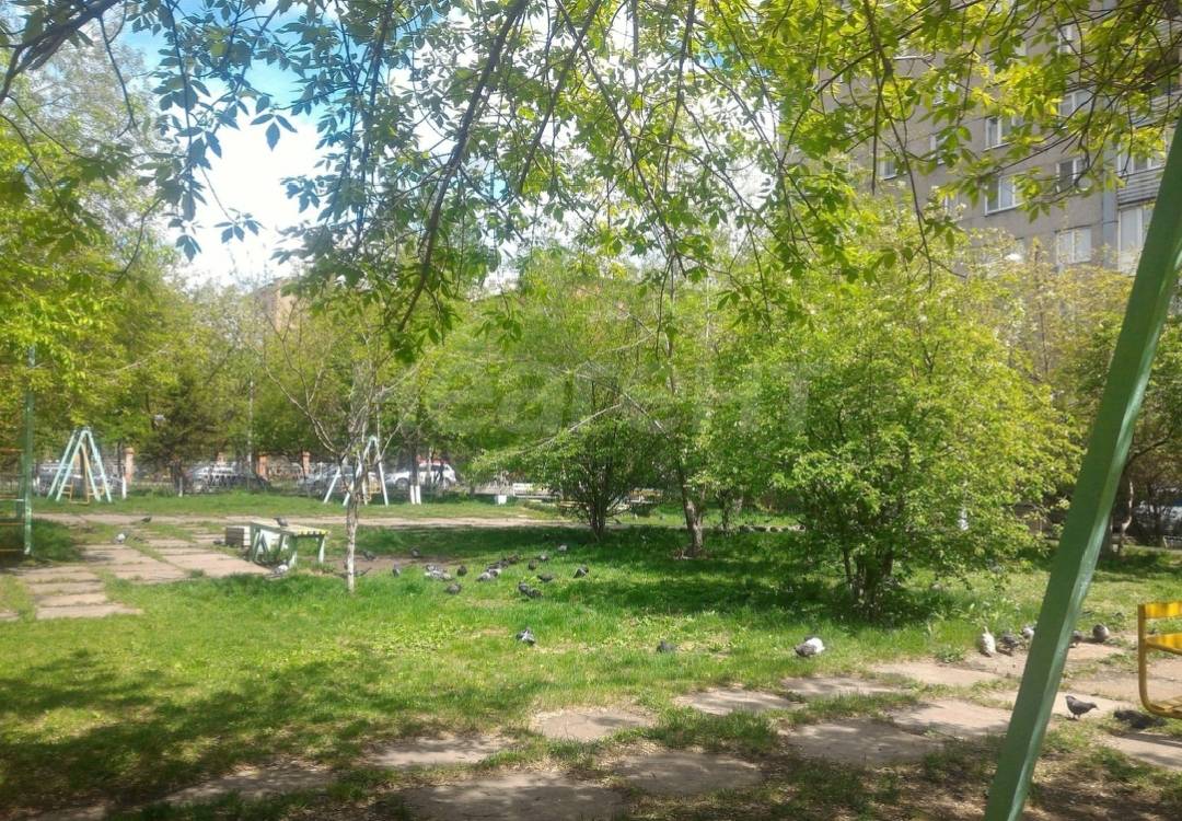 Фотография №2