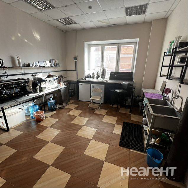 Фотография №5