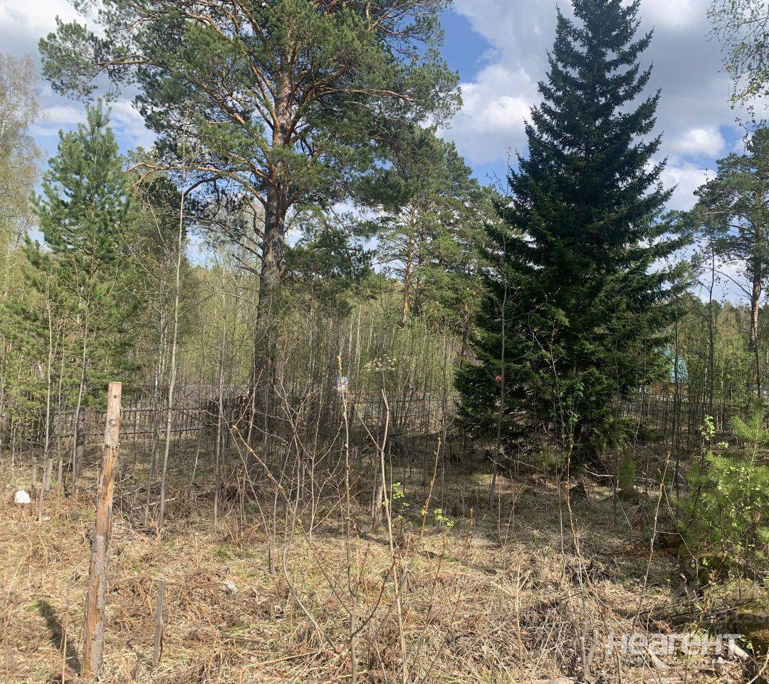 Фотография №4