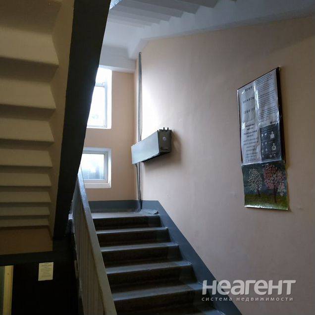 Фотография №4